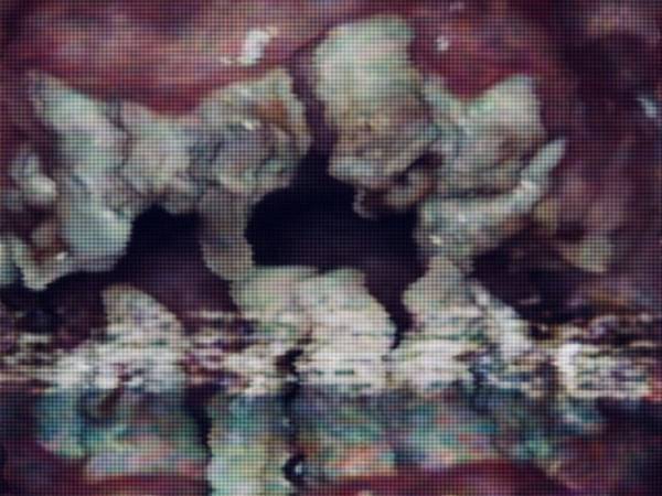 Polly Velvet, &laquo;&nbsp;Stomatology&nbsp;&raquo;: Quand le détartrage vire au cauchemar&nbsp;(Noise/Paris).