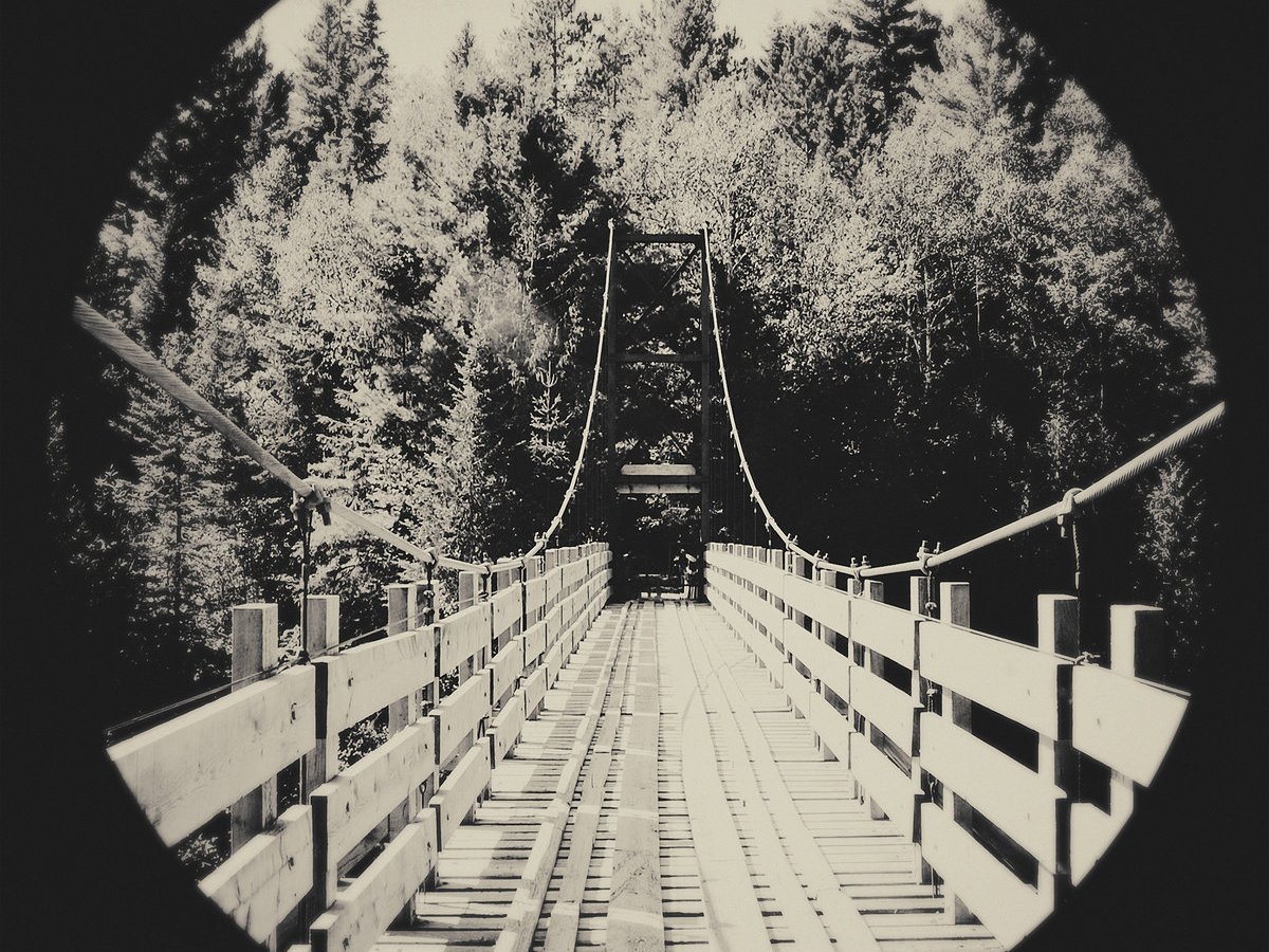 Anti-bilan 2020 : les 20 meilleurs albums de l&rsquo;année selon Fort et&nbsp;Viril